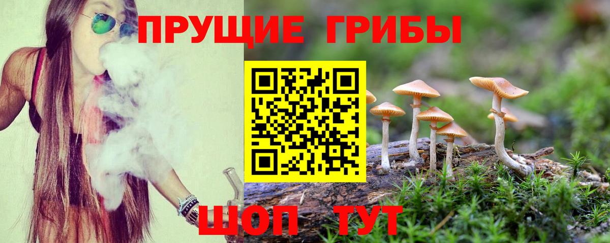 Галлюциногенные грибы Cubensis  Вход с VPN  Новошахтинск 